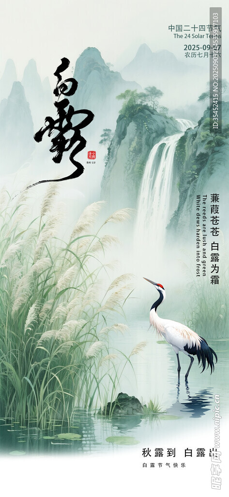白露