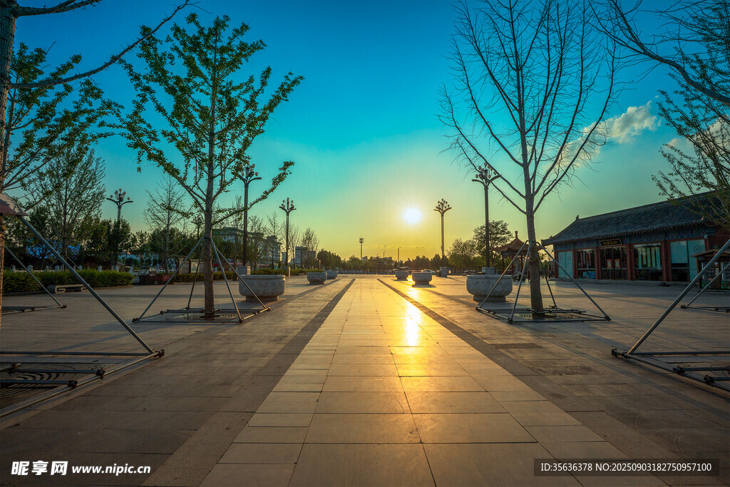 夕陽下的太昊陵林蔭步道