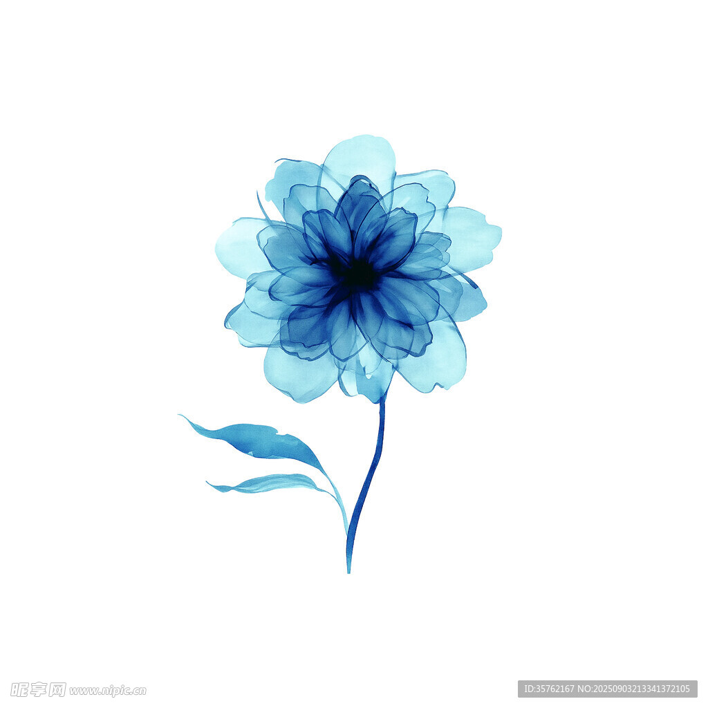 藍(lán)色水彩花朵插畫