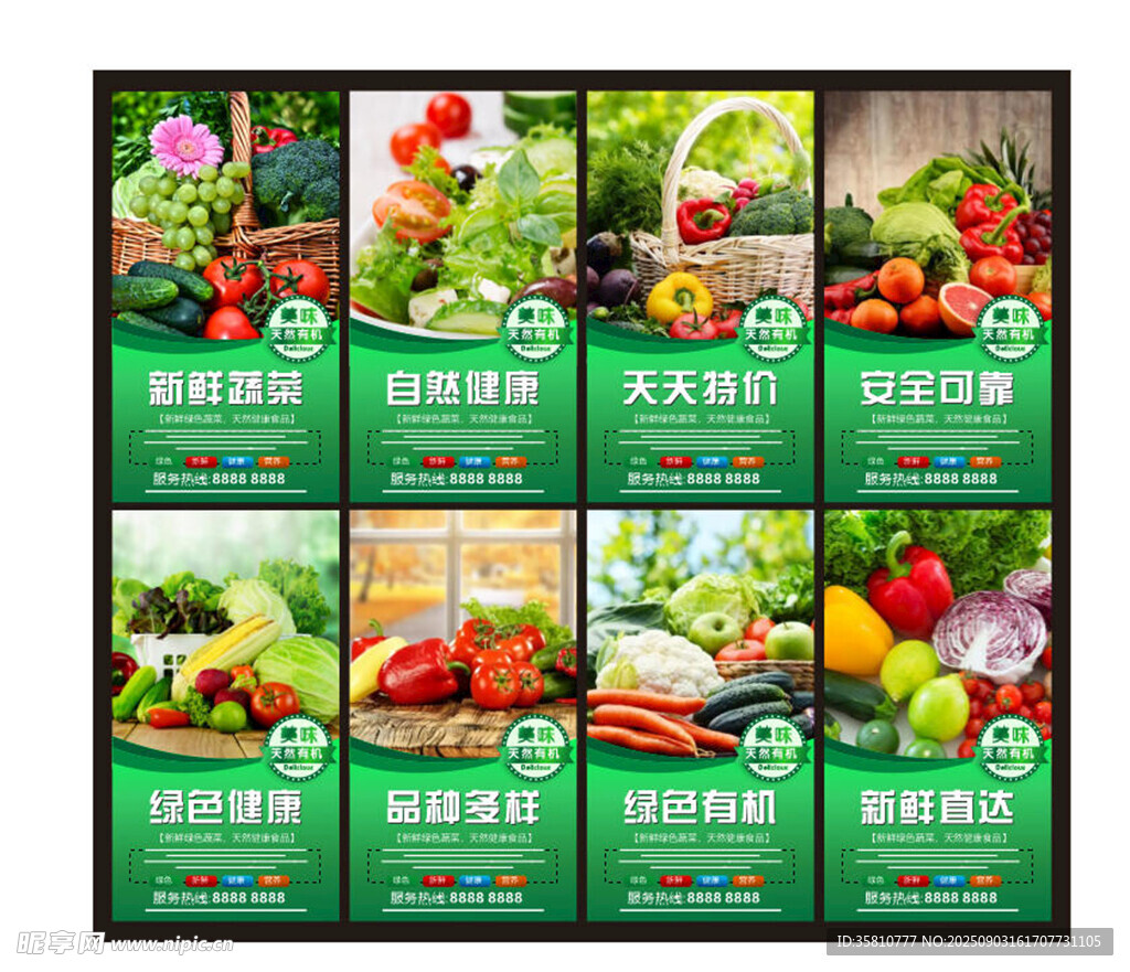 綠色有機蔬菜