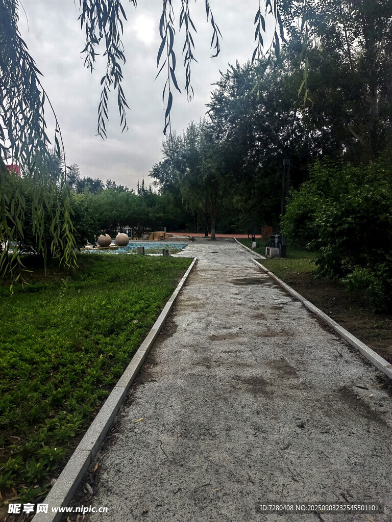 雨后公園小徑綠意盎然