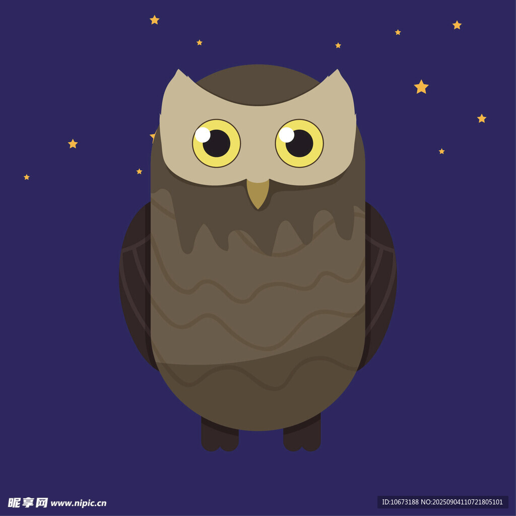 可愛貓頭鷹在夜空下