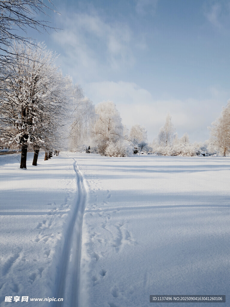 冬日雪野中的滑雪軌跡