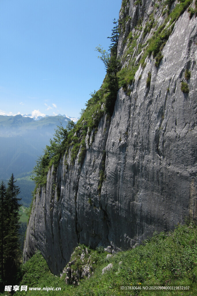 陡峭山崖邊的自然景致