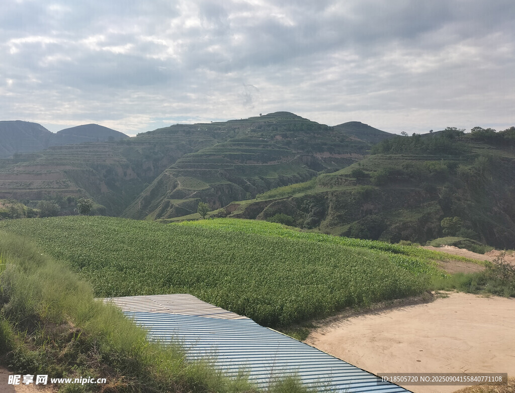 山間綠野中的蜿蜒河道