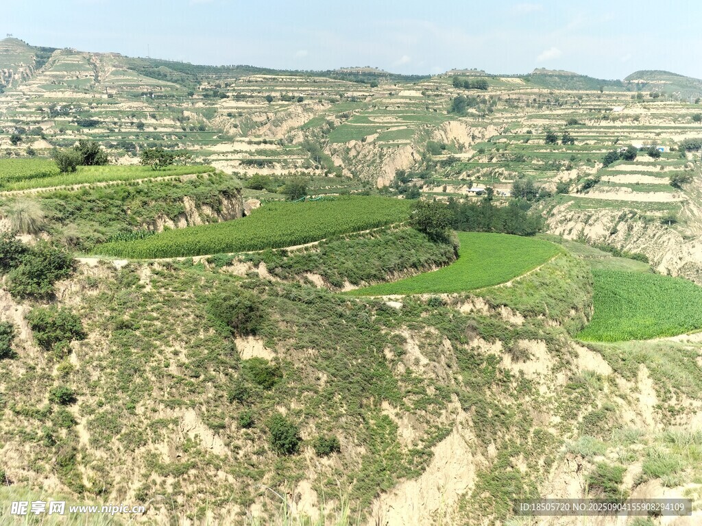 俯瞰綠意盎然的丘陵景觀