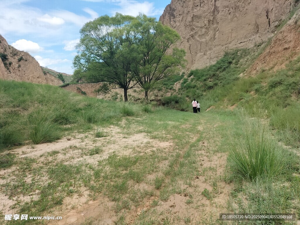 山間草地中的孤獨行者
