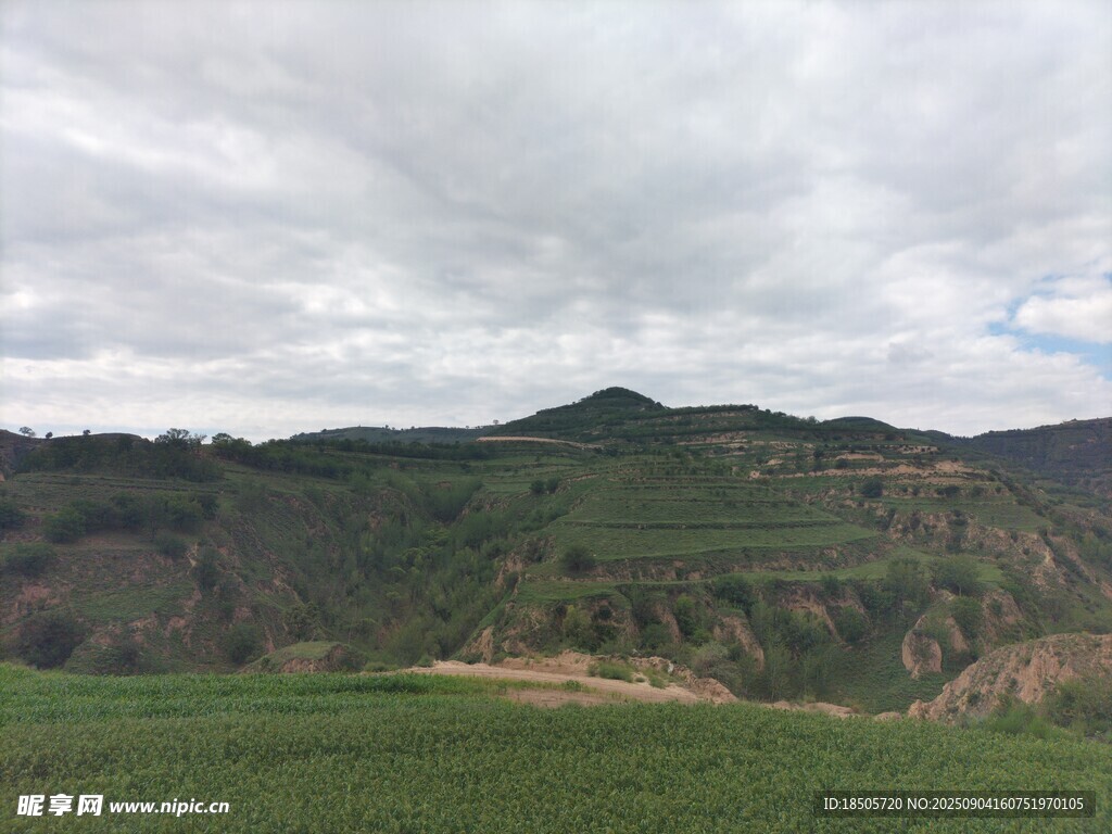 青山綠野間的自然景致