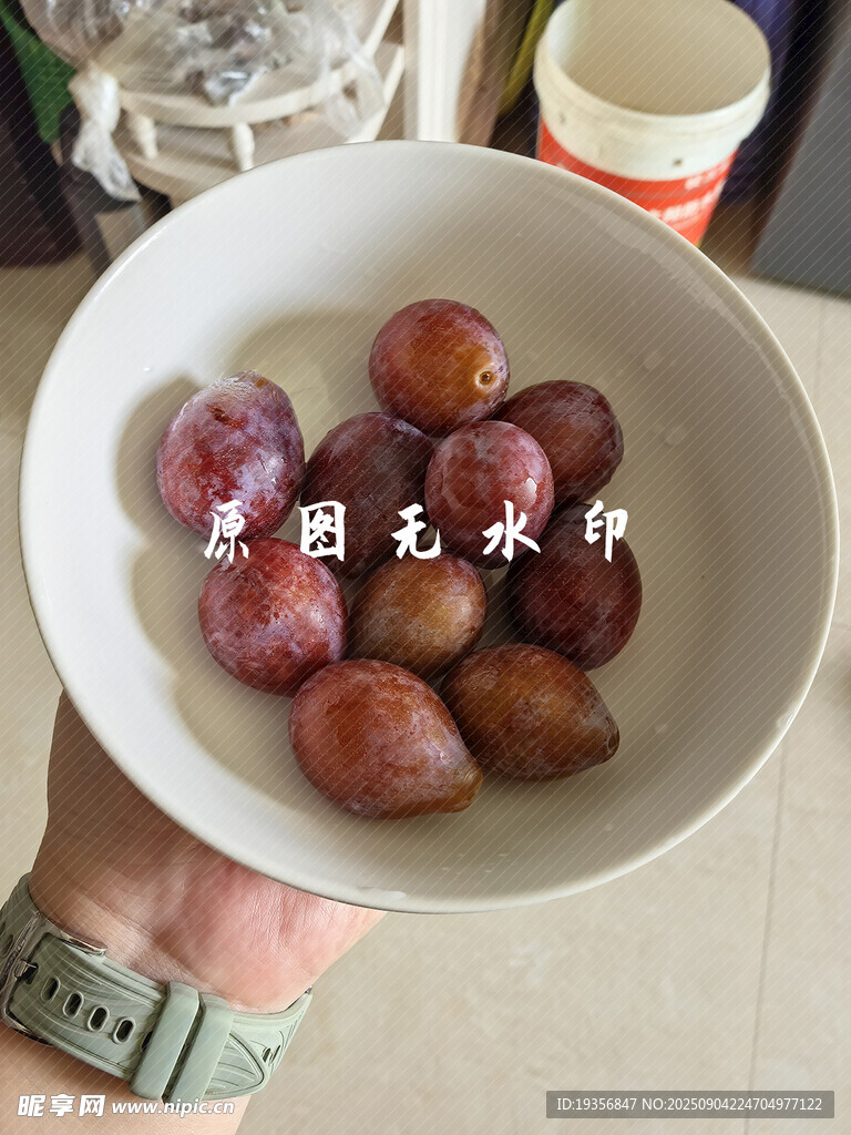 新鮮西梅