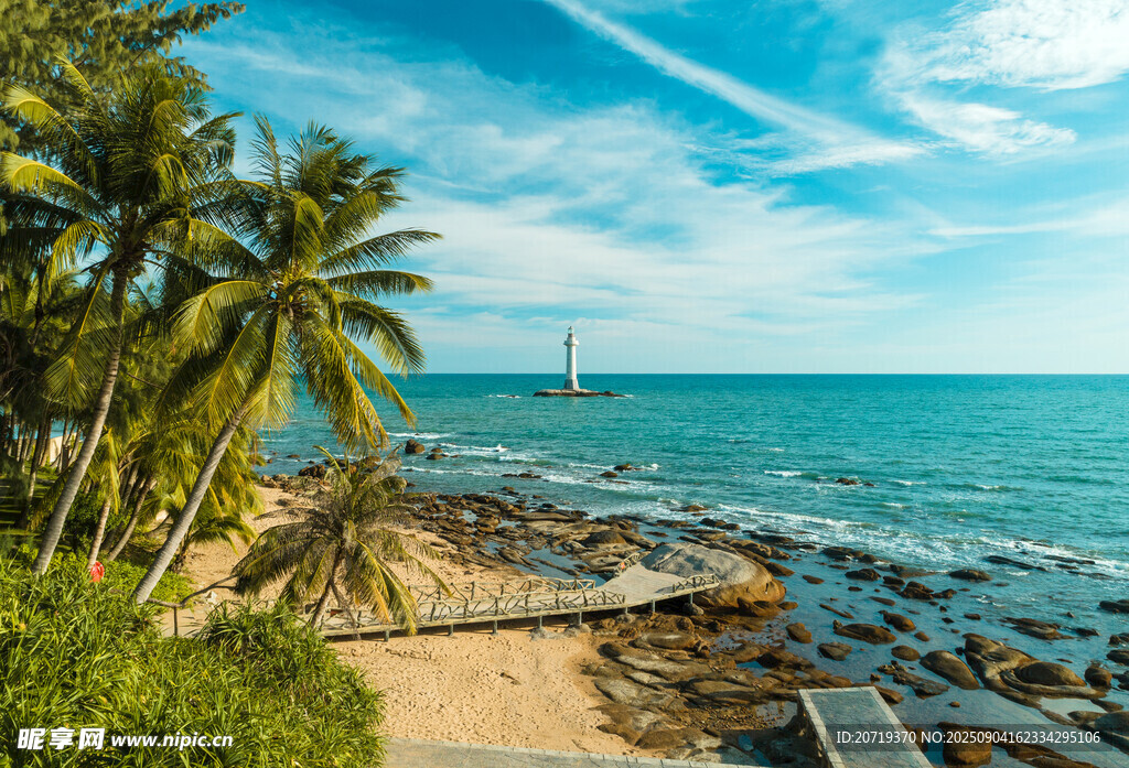 海邊椰林美景