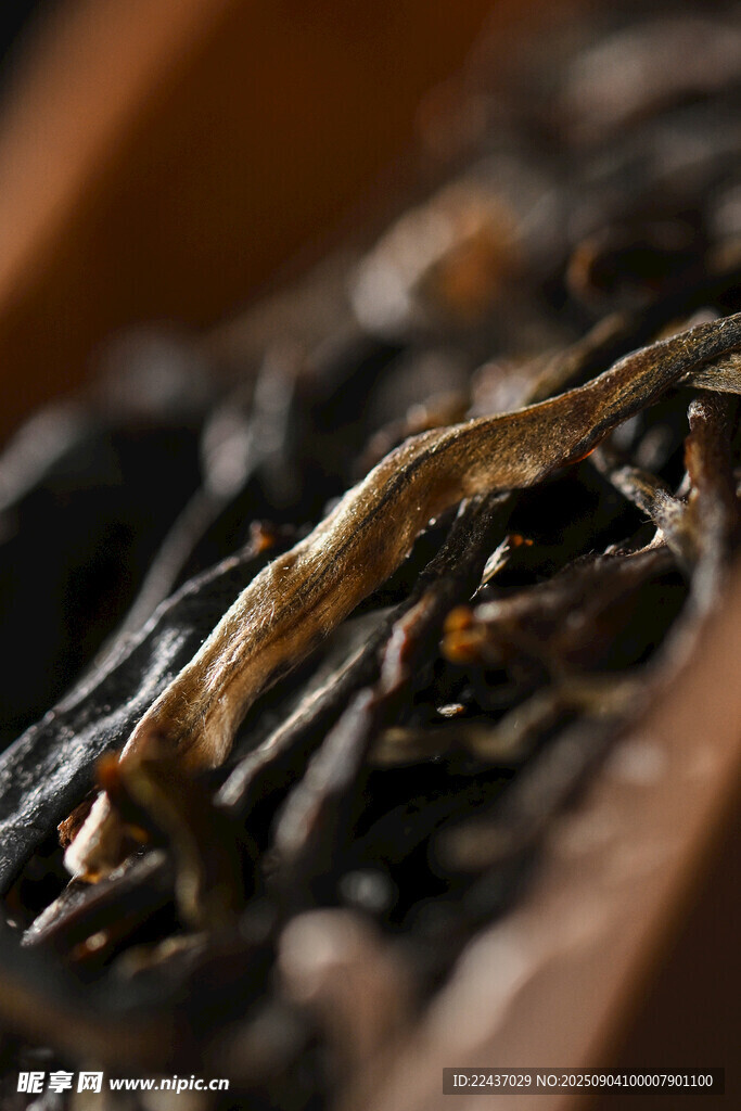 干燥的茶葉