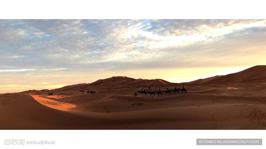  漠黃 美景