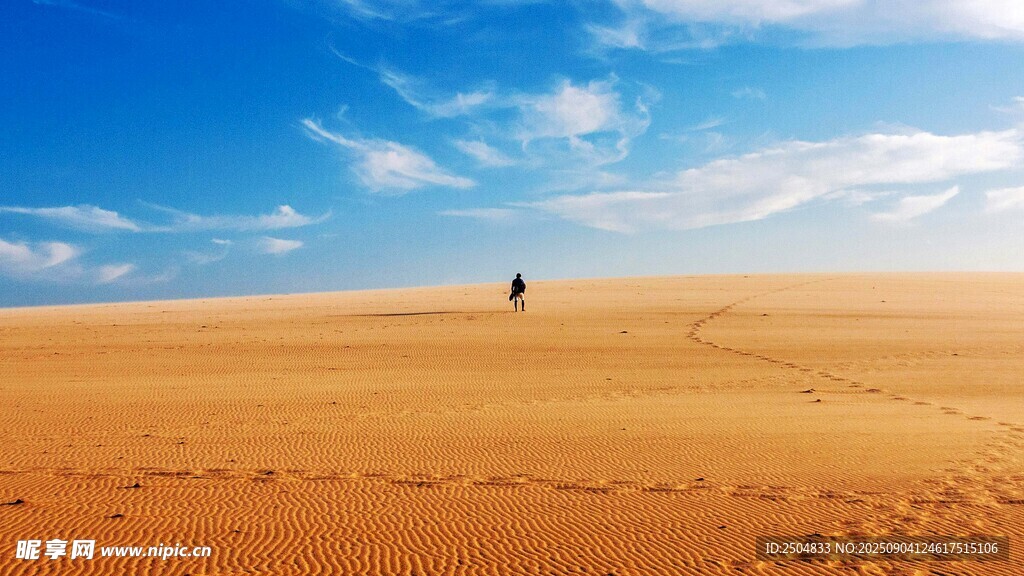  漠中一 獨(dú) 的風(fēng)景