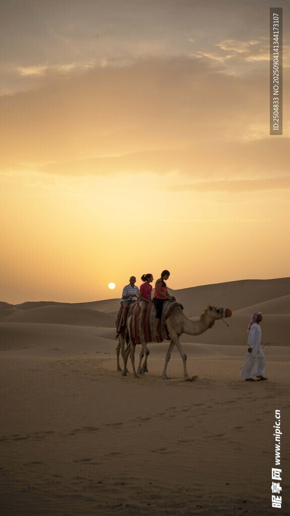沙漠駝隊夕陽下的旅行