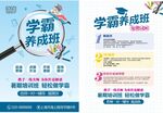 學(xué)霸養(yǎng)成班宣傳海報