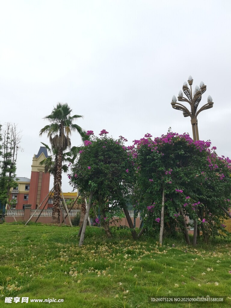 花園綠植景觀