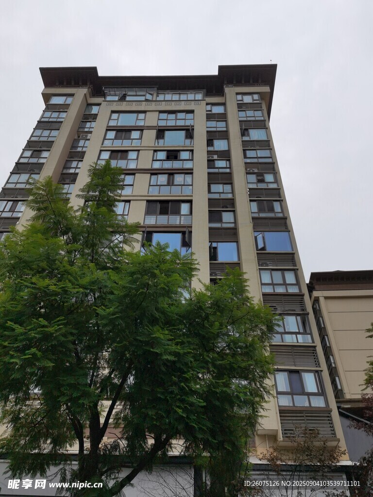 高層住宅樓旁綠樹點綴