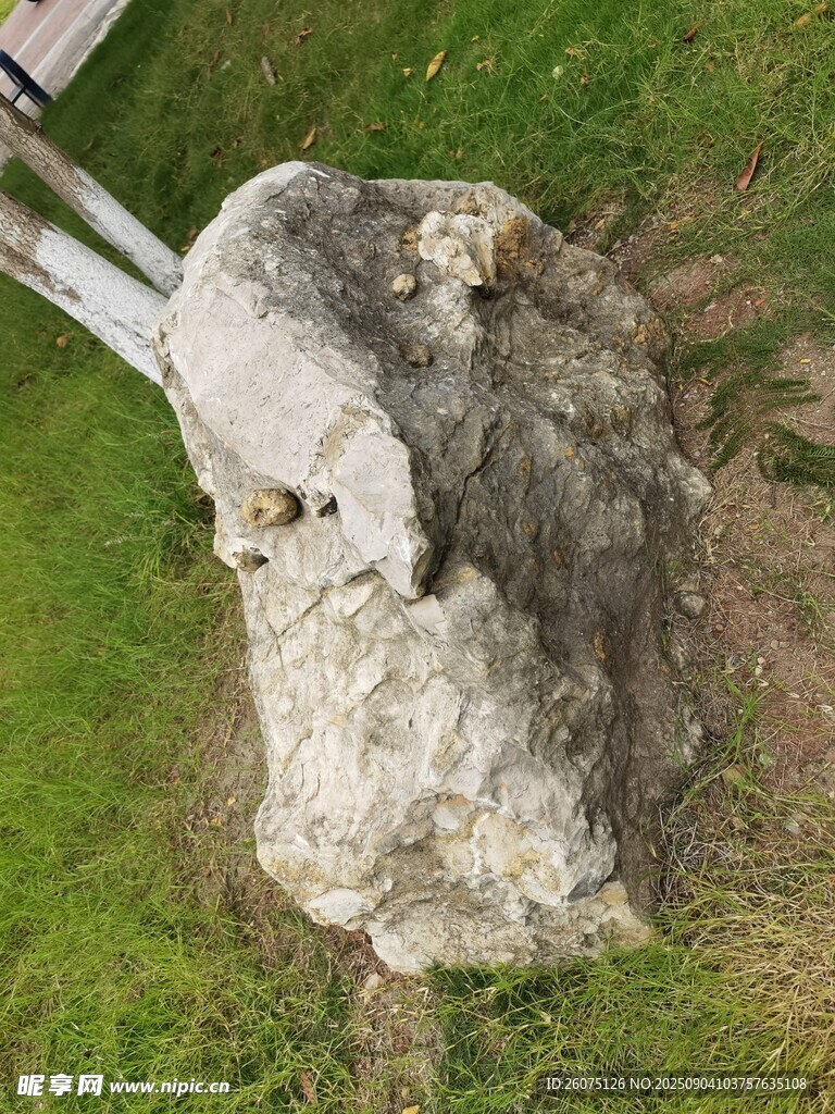 草地上的奇特石頭