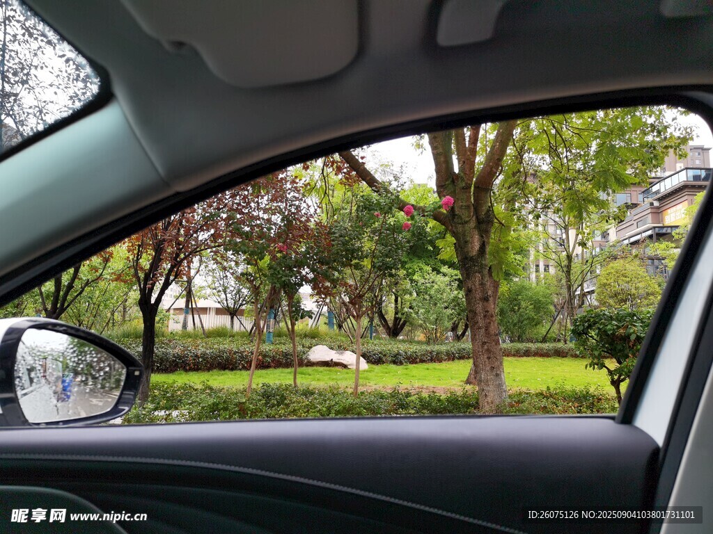 車內(nèi)視角看窗外綠樹景致