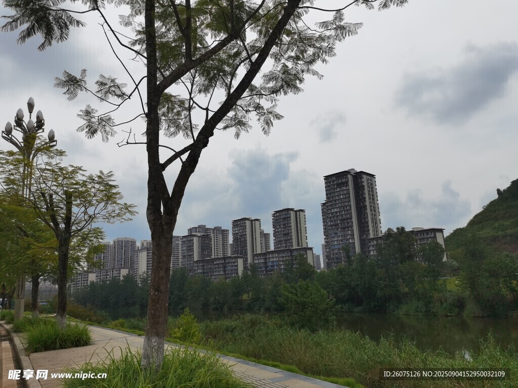 城市邊的綠樹與高樓景觀