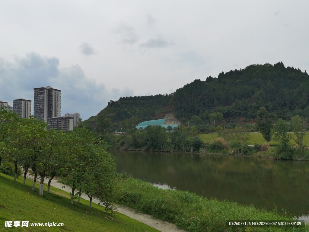 河畔綠樹與遠(yuǎn)處城市景觀