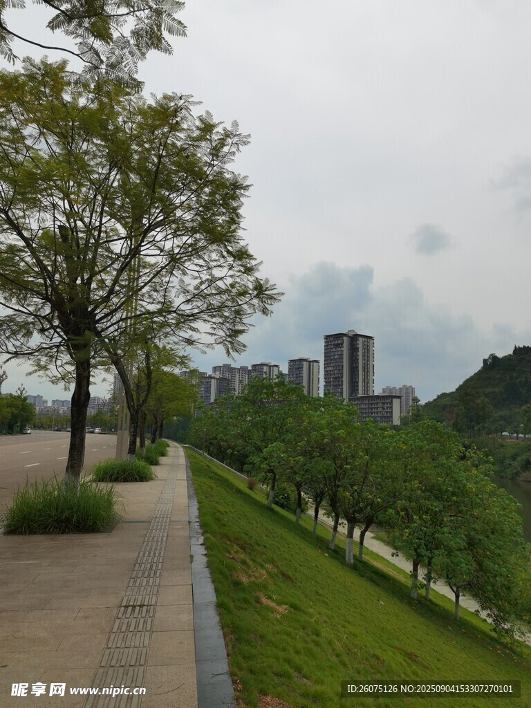 城市河畔綠樹成蔭步道景