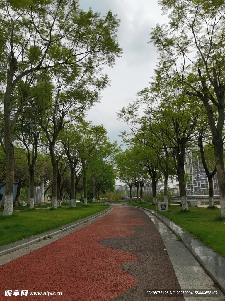 林蔭下的紅色步道