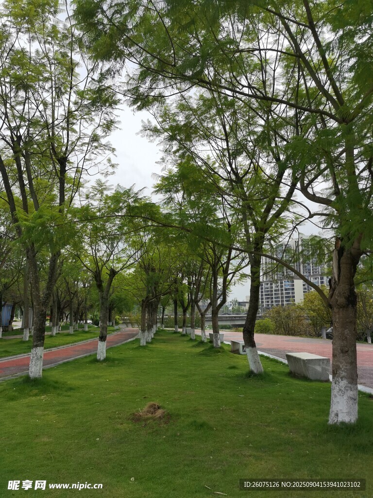 城市公園綠意盎然的步道