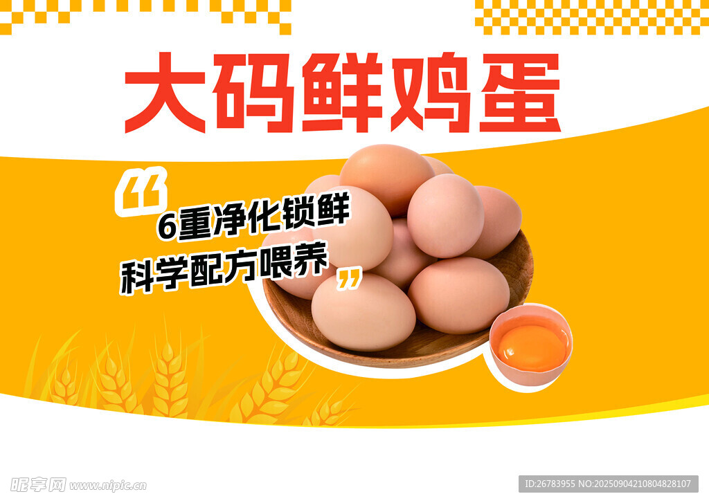 大碼鮮雞蛋營養(yǎng)好選擇