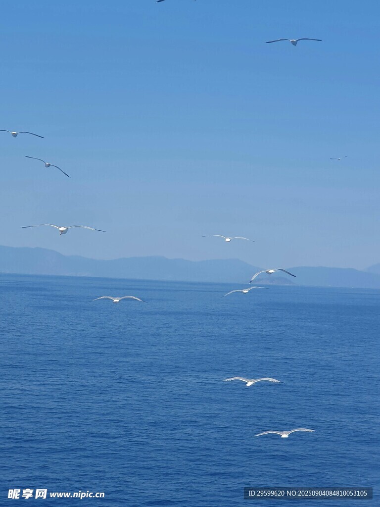 碧海藍(lán)天飛鳥(niǎo)海上美景