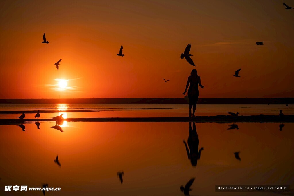 夕陽下的海邊剪影美景