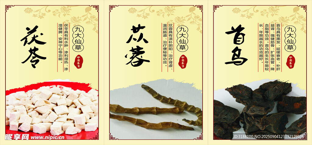 首烏茯苓蓯蓉