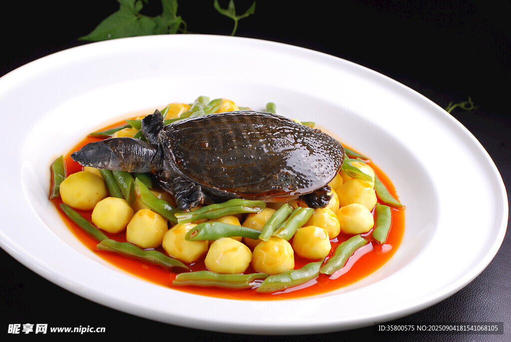 甲魚(yú)配土豆等菜品