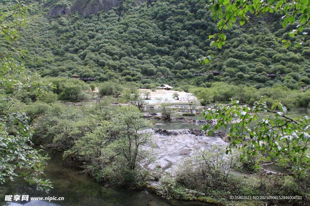 黃龍山間綠意盎然的自然景致
