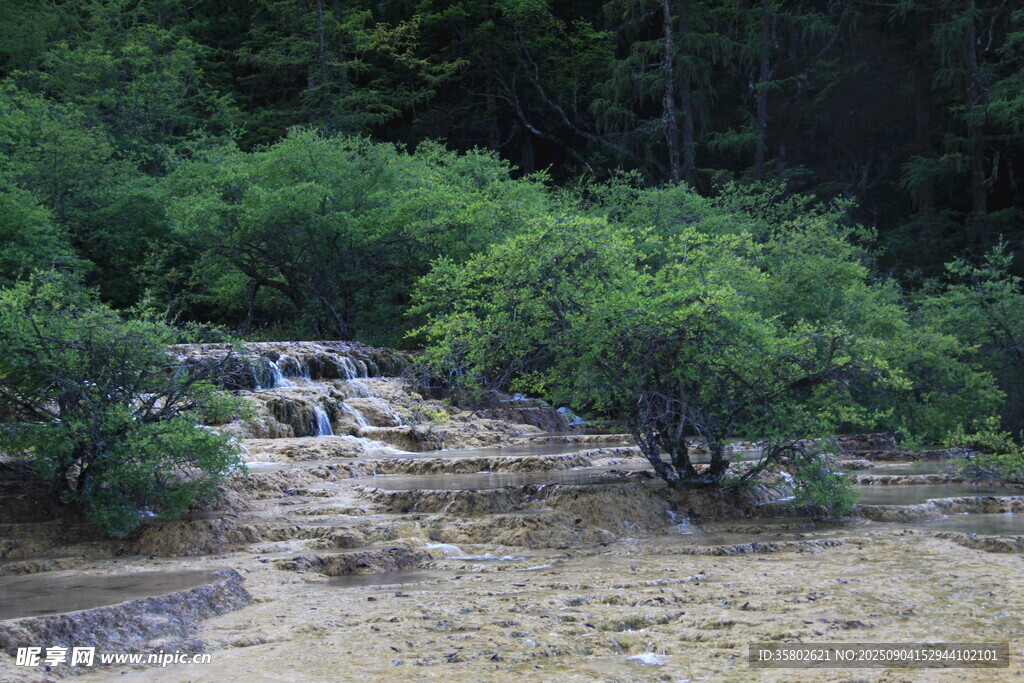 黃龍山間綠意盎然的自然景致
