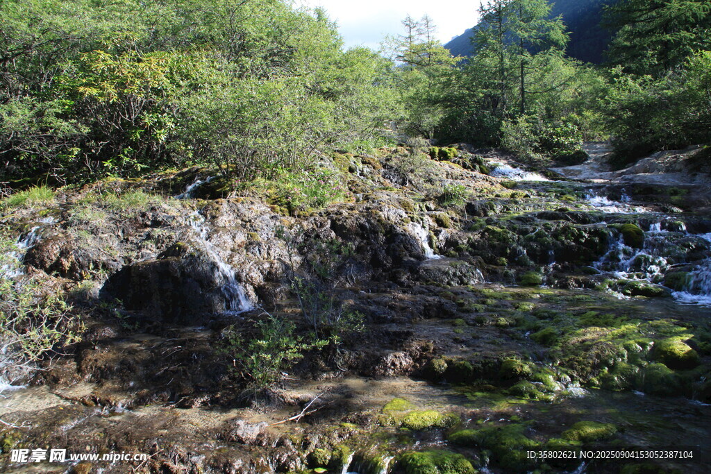 黃龍山間溪流潺潺綠意盎然