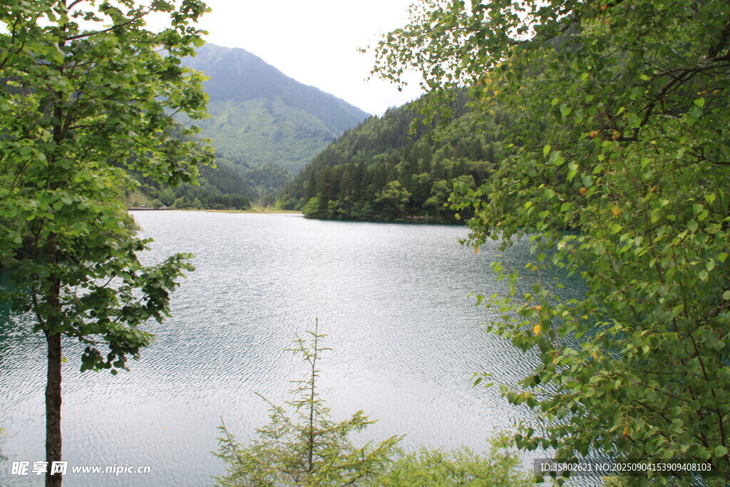 九寨溝山林間的靜謐湖泊美景