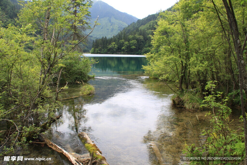 九寨溝林間湖畔美景