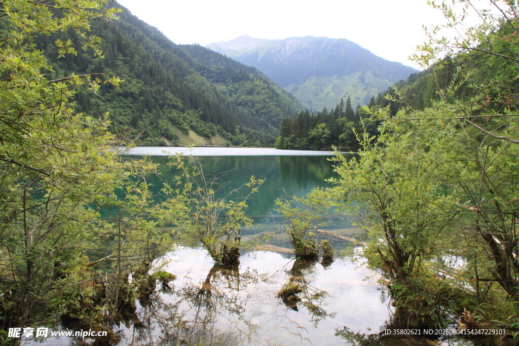 九寨溝山間碧自然清幽美景