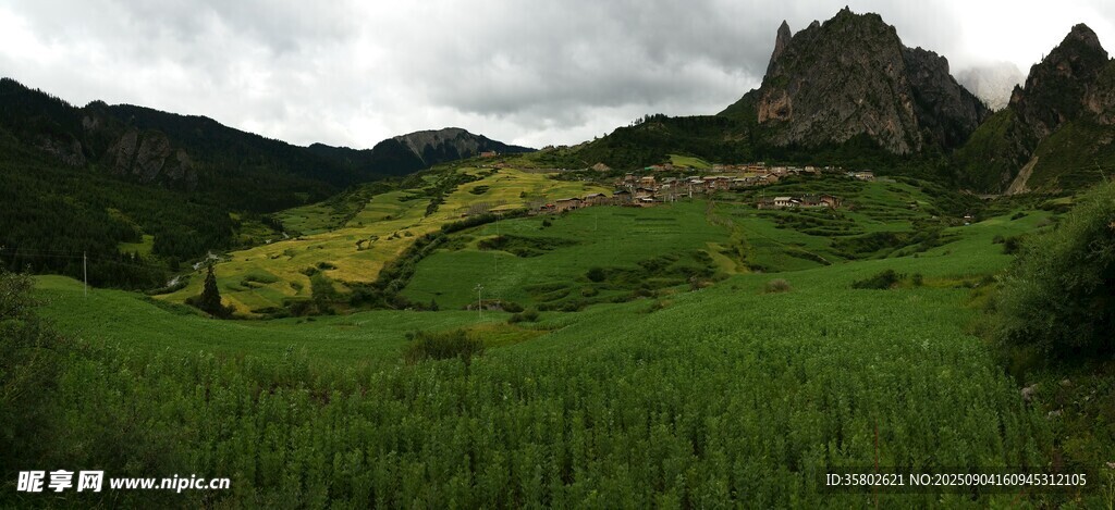 甘南扎尕那山間綠野美景