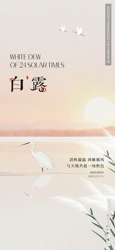 白露