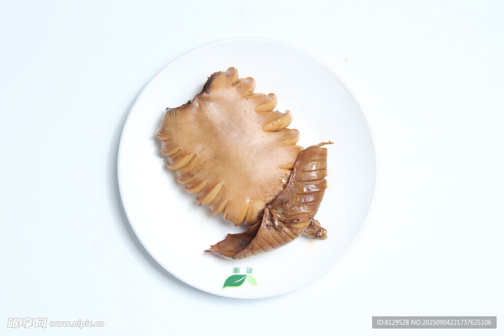 盤中美味魷魚花