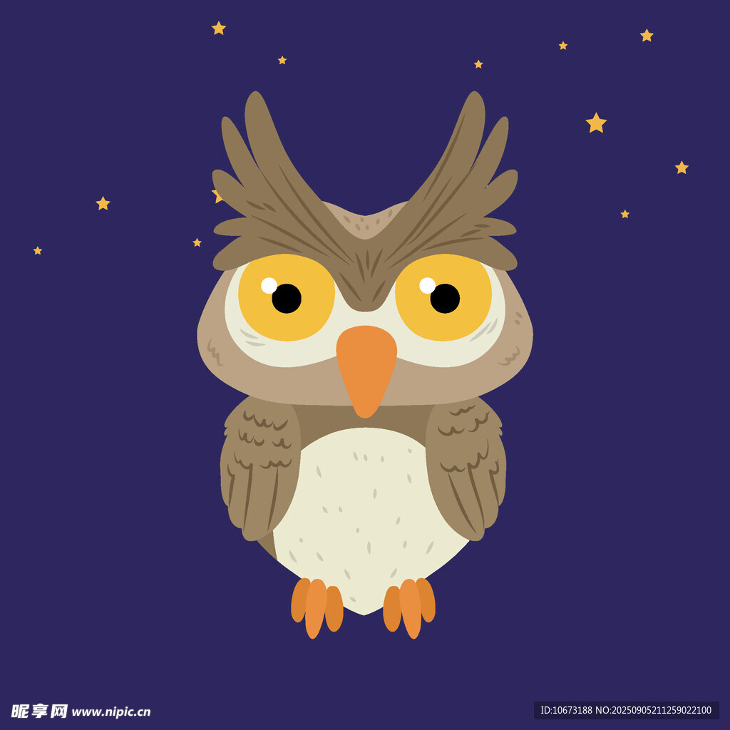 可愛(ài)貓頭鷹在夜空背景中