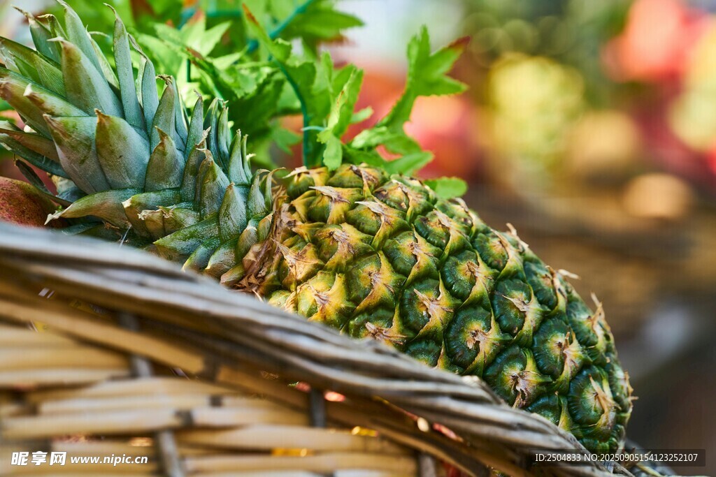 籃子里的新鮮菠蘿