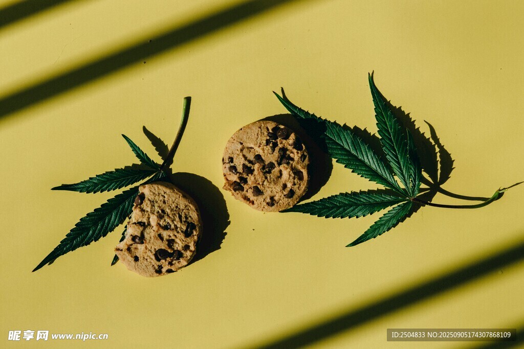 大麻餅干與葉片特寫