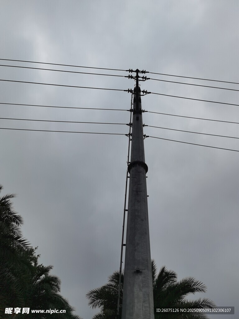 電線桿與空中電線場景