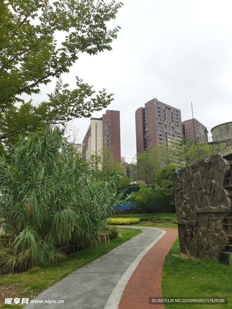 城市中的綠意小徑與遠(yuǎn)處高樓