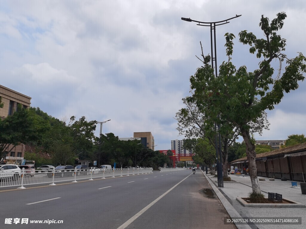 城市空曠街道與路旁綠樹