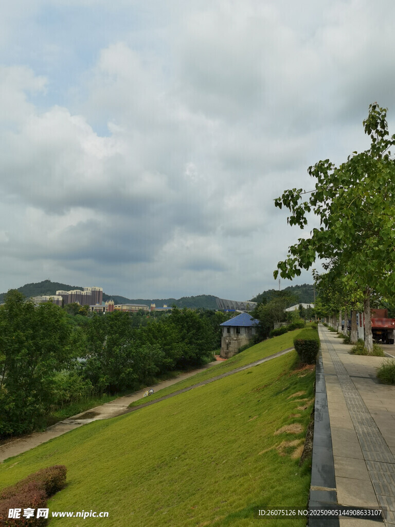 綠意盎然的戶外風(fēng)景
