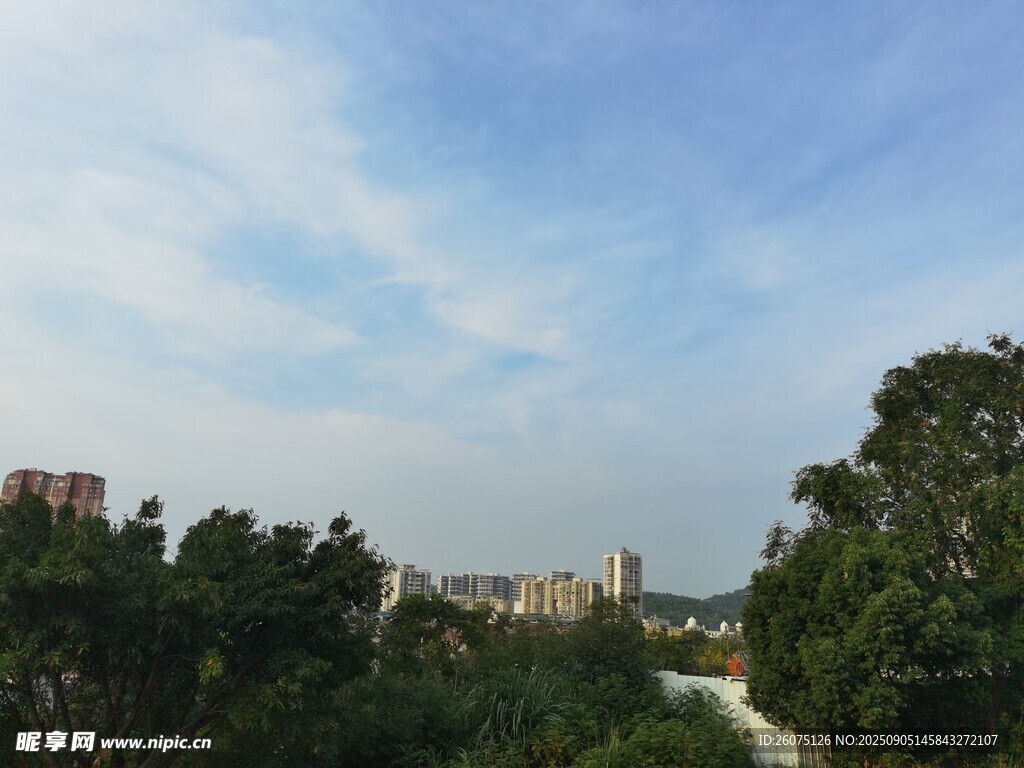 城市樹梢上的藍(lán)天美景